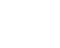 ÉTALONS / Chevaux de selles